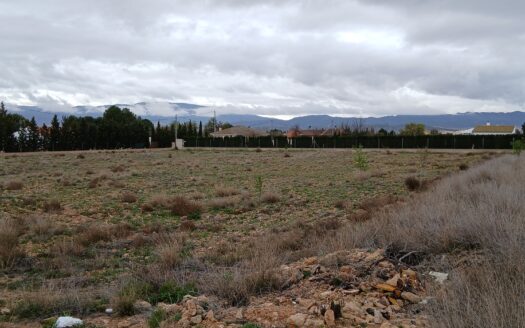 PARCELA PARA CHALET CON PROYECTO