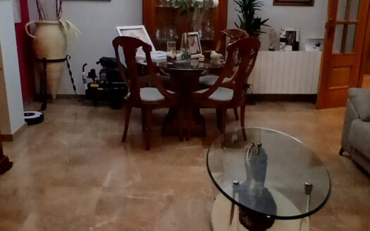 GRAN PISO EN EL CENTRO