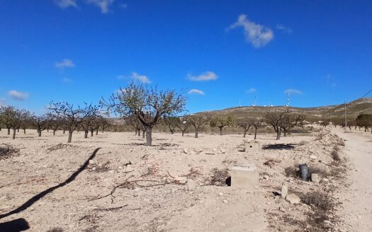 FINCA RÚSTICA A 2 KM DE YECLA