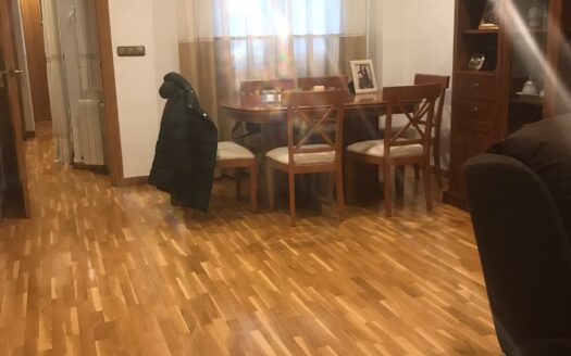 CASA DUPLEX Y LOCAL GARAJE