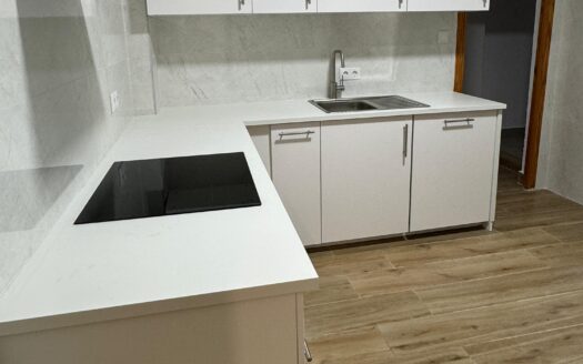 PISO REFORMADO CON ASCENSOR