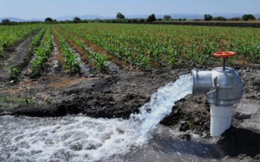 ACCIÓN DE AGUA POZO DECARADA